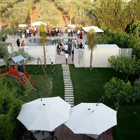 Hotel Divino 3*